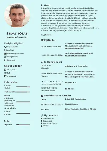 Maden Mühendisi Cv Örnekleri cv indir